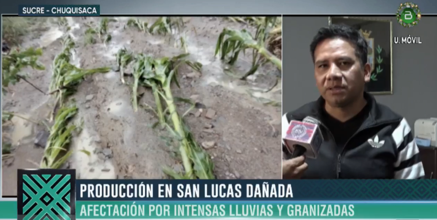 Más de 200 familias y al menos 80% de cultivos agrícolas fueron afectados por lluvias y granizada en Chuquisaca