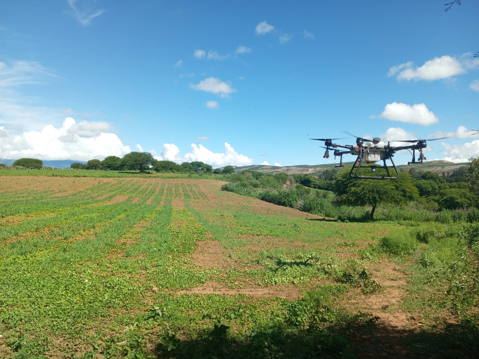 Dron fumigador en Santa Cruz. Foto: INIAF - MDRyT