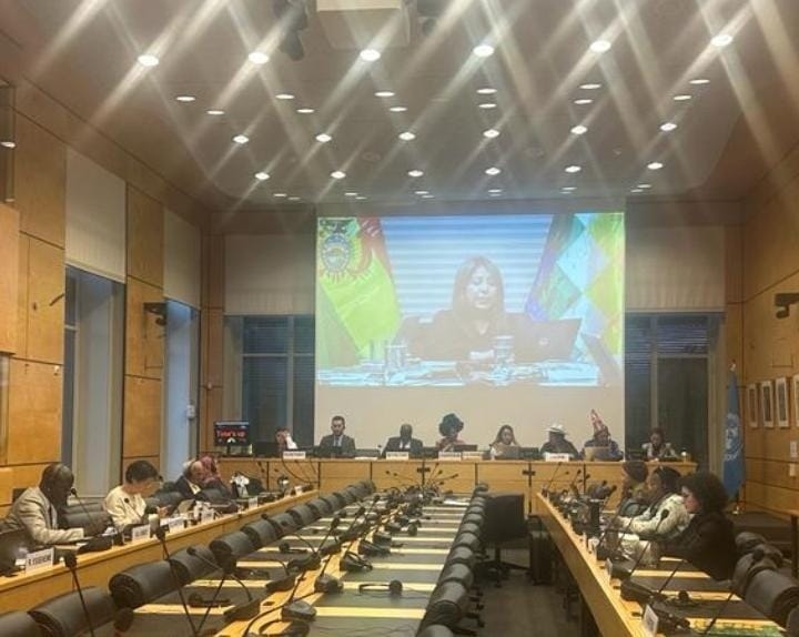 Comité para la Eliminación de la Discriminación Racial acoge positivamente avances en Bolivia 