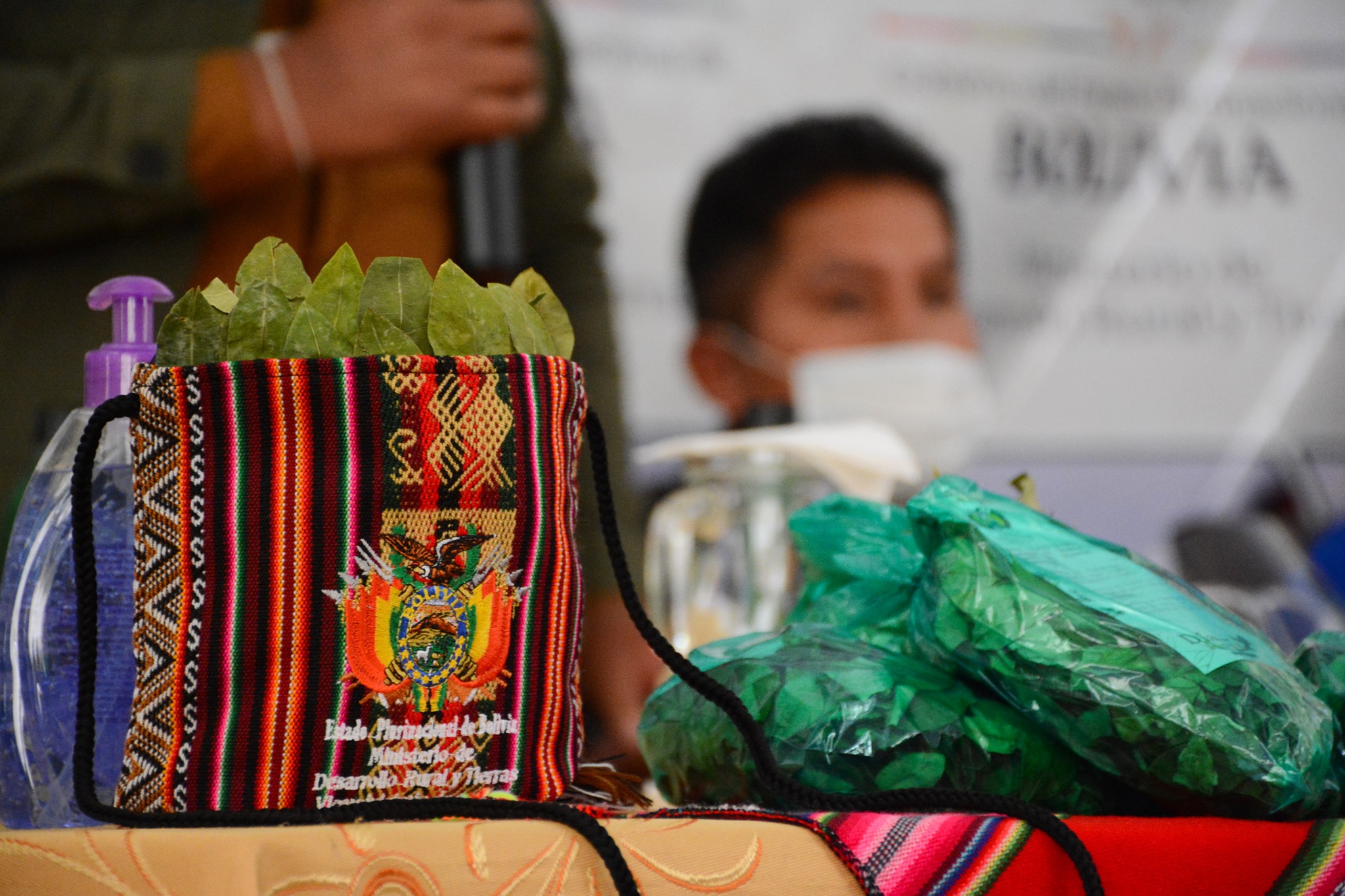 Día del Acullico: Desarrollo Rural revela que Santa Cruz es el mayor consumidor de hoja de coca 