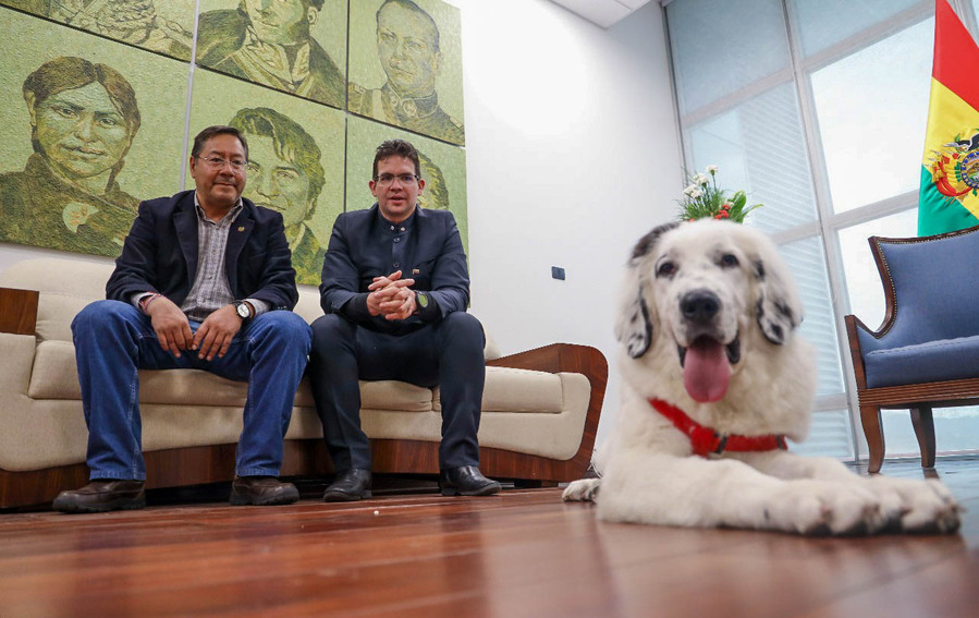 Maduro obsequia al presidente Arce un perro mucuchíes