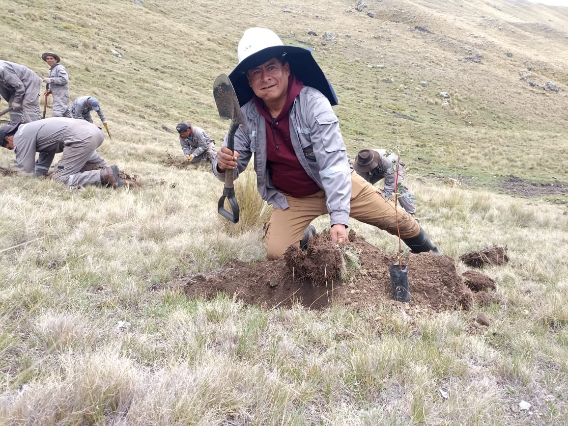 Campaña de ENDE siembra 31.298 plantines en 59 hectáreas del Parque Nacional Carrasco