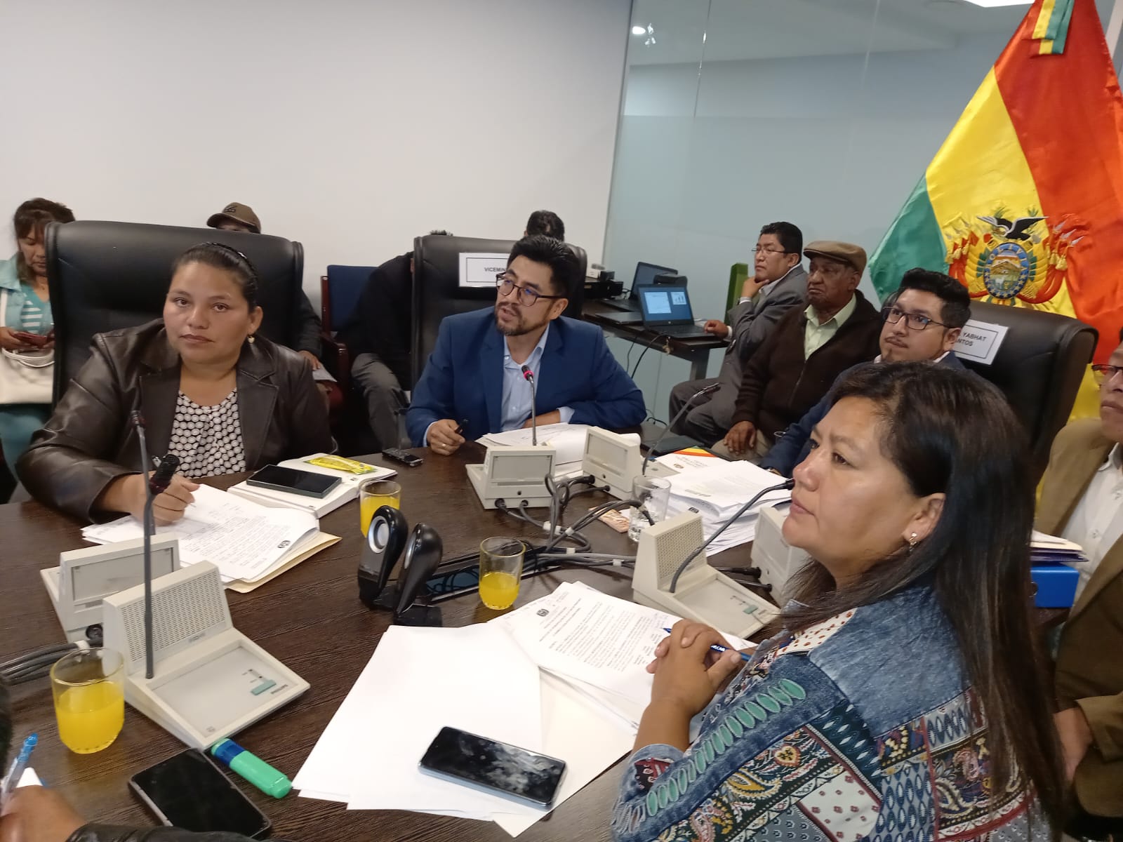 Comisión de Planificación de Diputados aprueba proyecto de ley que incrementa la Pensión Solidaria de Vejez