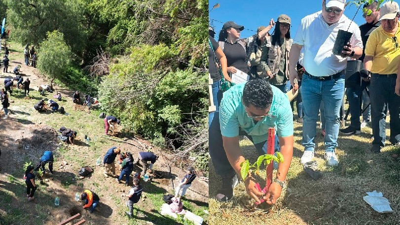 Fiscalía impulsa reforestación con siembra de más de 5.600 plantines en tres departamentos