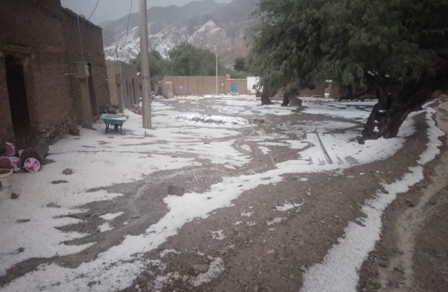Productores de cinco comunidades de Yunchará pierden sus cultivos por una intensa granizada