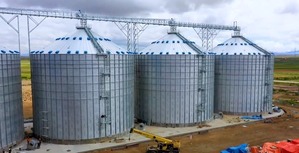 Construcción de la planta de almacenamiento y transformación de cereales tiene avance de 90%