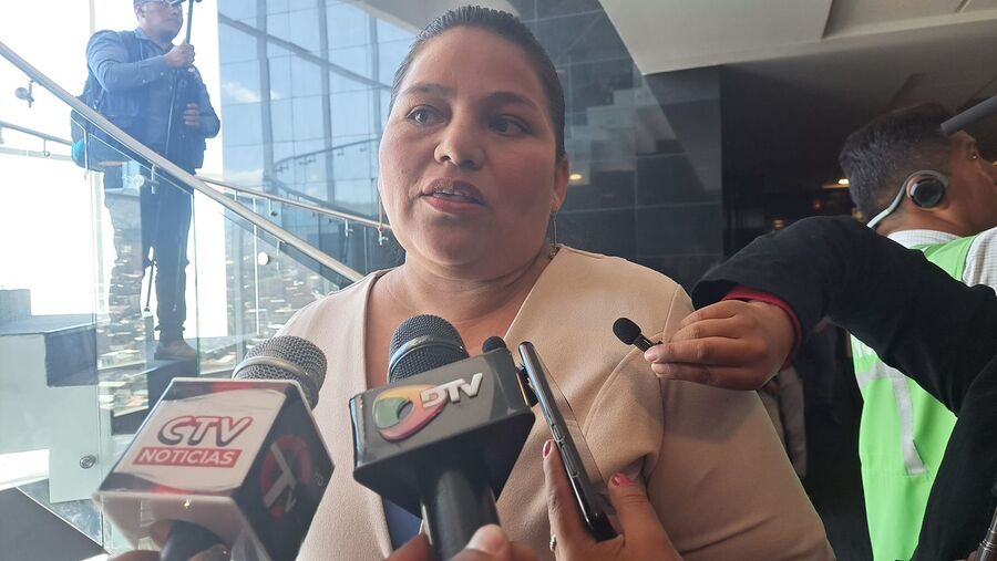 Diputada reprocha que legisladores de Creemos, CC y radicales recurran a “chantajes” para avanzar en proyectos económicos