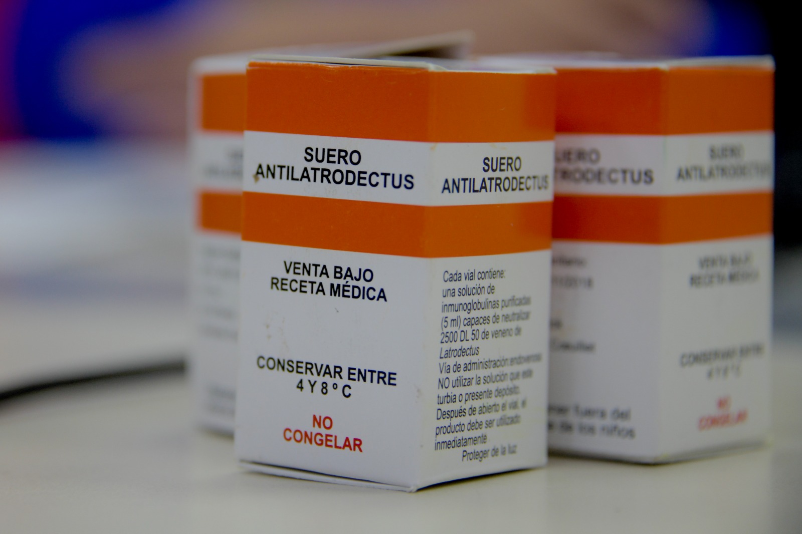 Salud garantiza vacuna antirrábica y antídoto contra la picadura de araña viuda negra en todo el país