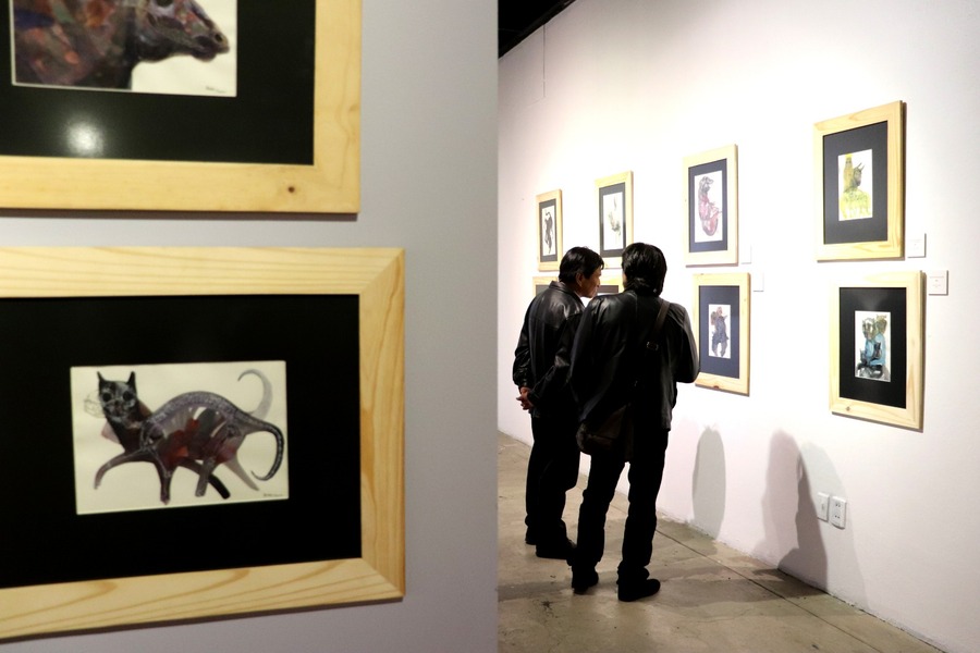 Muestra “Intestinos: emociones viscerales” plantea a los sentimientos como el inicio del mundo