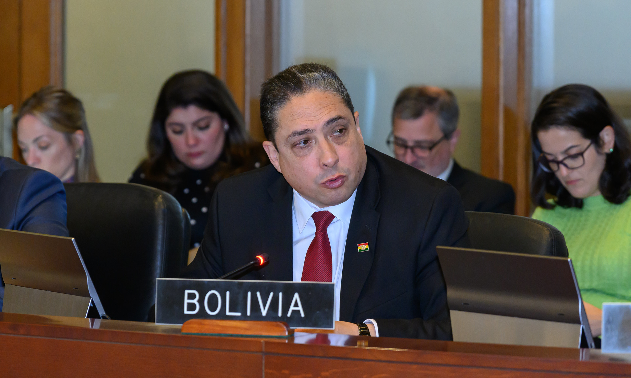 Embajador Arce observa que Consejo Permanente de la OEA no se pronuncie sobre la “terrible situación” del pueblo palestino