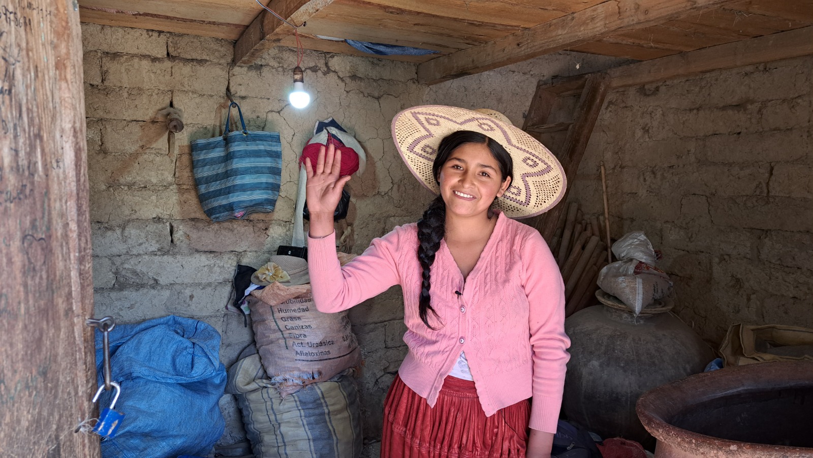 Cobertura eléctrica llega al 95,6%, piden al Legislativo aprobar crédito por $us 325 millones para universalizar el servicio