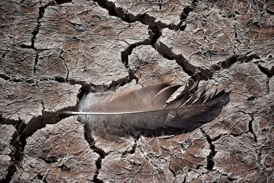 Muestra fotográfica “La sed verdadera” propone sensibilizar sobre la cruda realidad de la crisis del agua