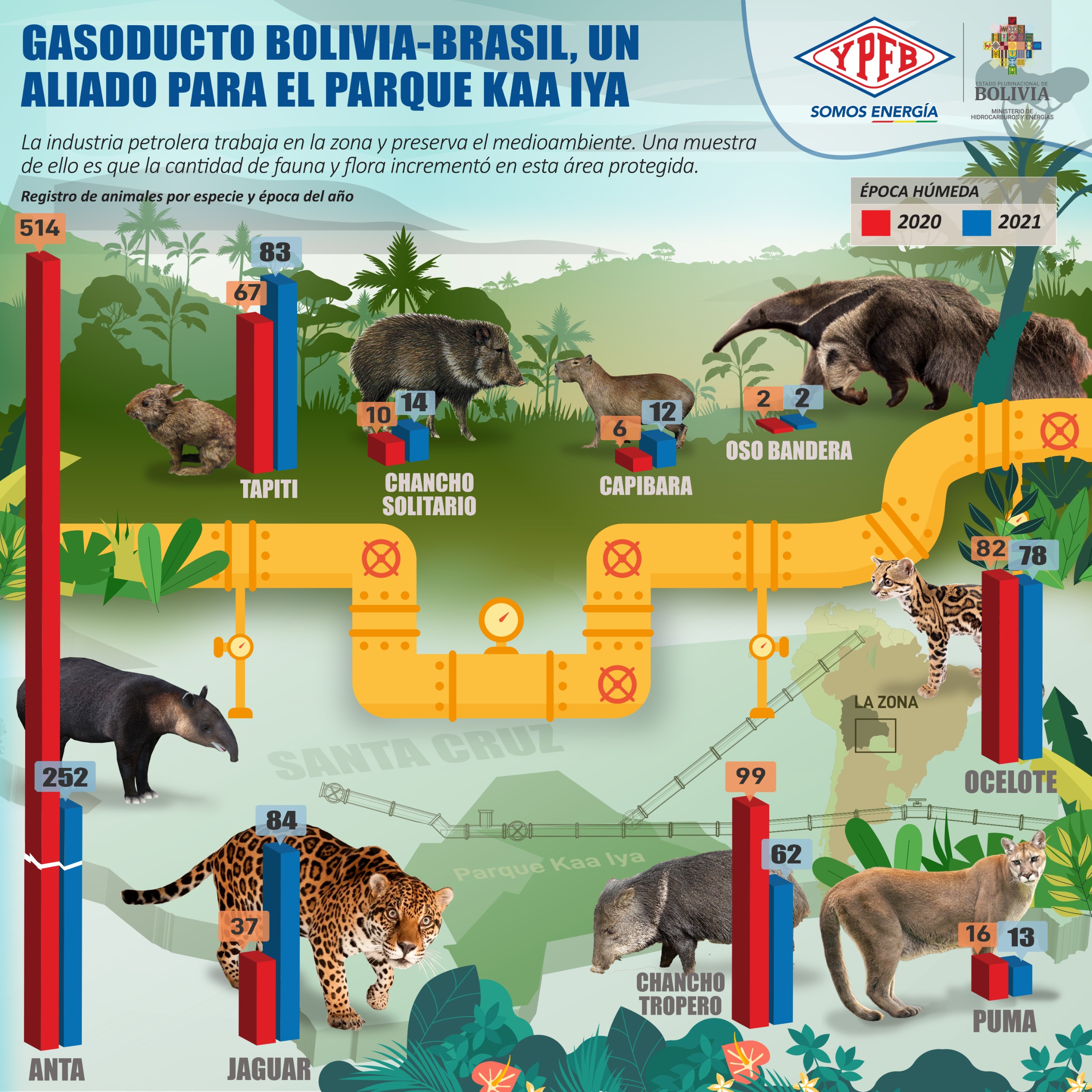 Gasoducto Bolivia – Brasil es aliado para la conservación del Parque Nacional Kaa Iya