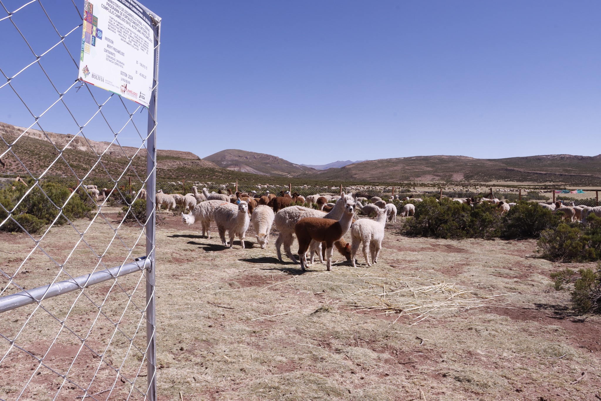 Entregan corrales móviles y cobertizos para ganado camélido en Santiago de Machaca 