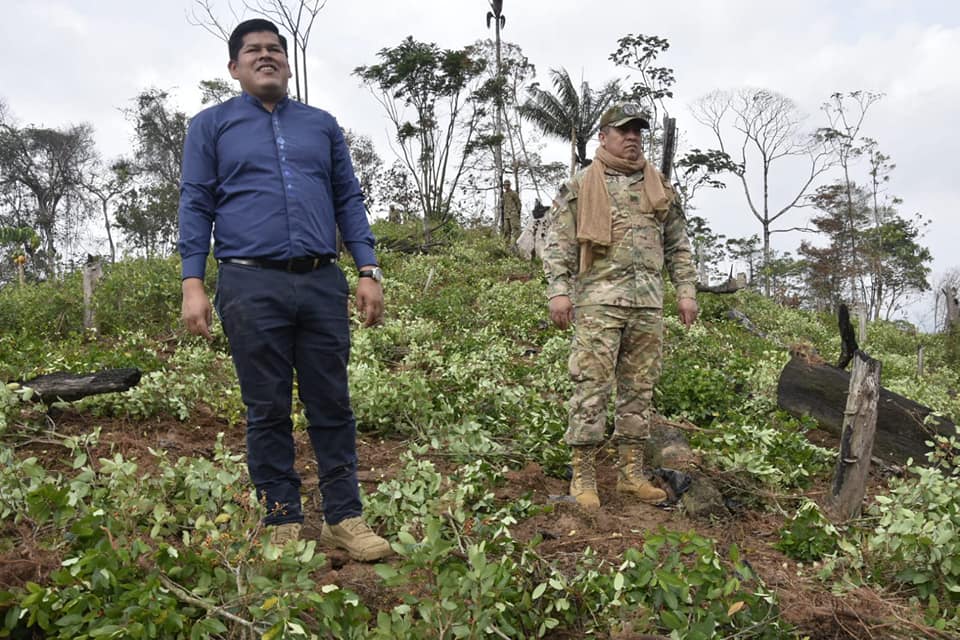 Fuerza de Tarea Conjunta erradica 33.780 hectáreas de coca excedentaria en los últimos tres años