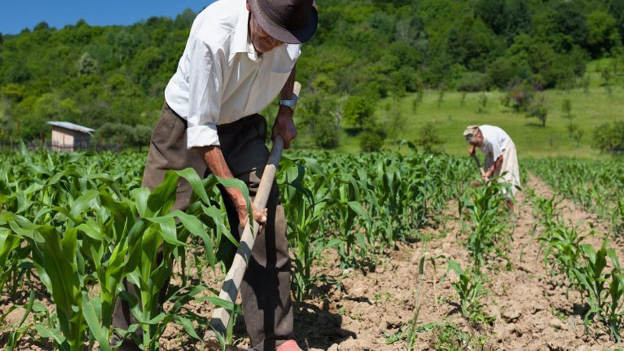 Sector productivo lidera la cartera de crédito con más del 46% de participación 