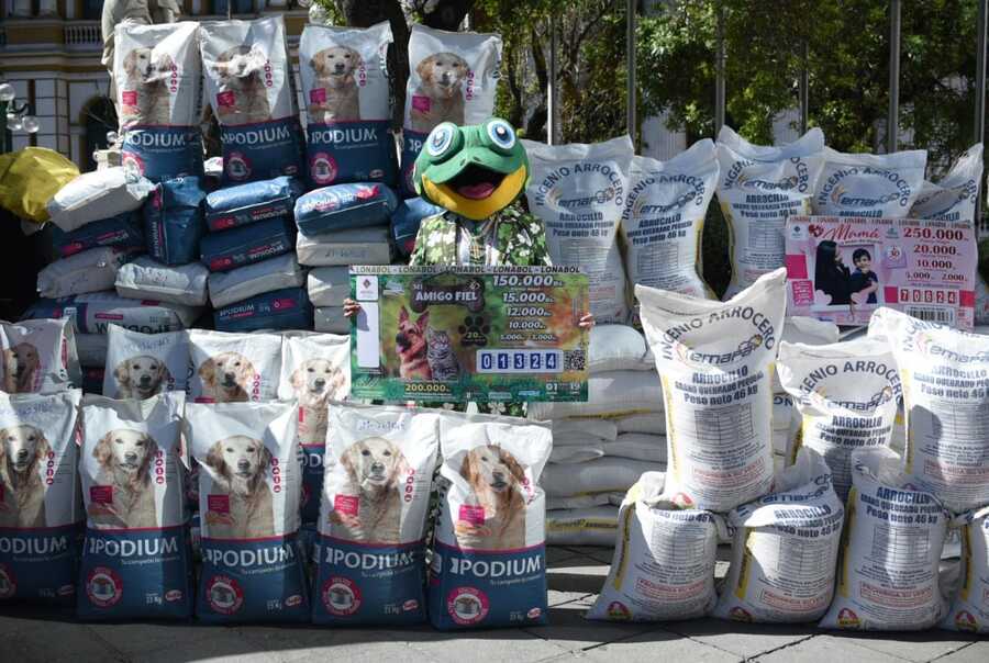 Lotería entrega alimentos para más de 10.000 perros y gatos cobijados en refugios sin financiamiento