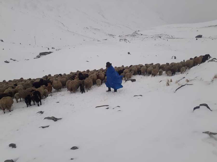 Senamhi pronostica posibles nevadas en las cordilleras