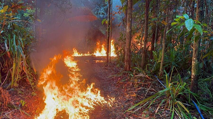 Felcn destruye 25 fábricas de cocaína en el Trópico de Cochabamba y aprehende a una persona