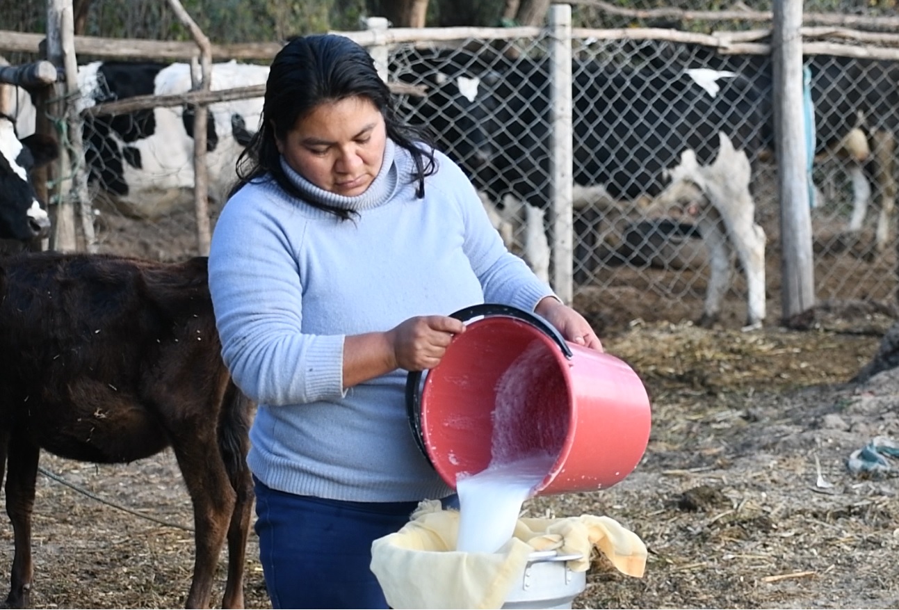 BDP impulsa la productividad, empoderamiento e inclusión de 23.441 mujeres