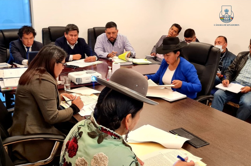 Presidencia del Senado remite tres créditos por $us 487 millones a la Comisión de Planificación e inicia su tratamiento