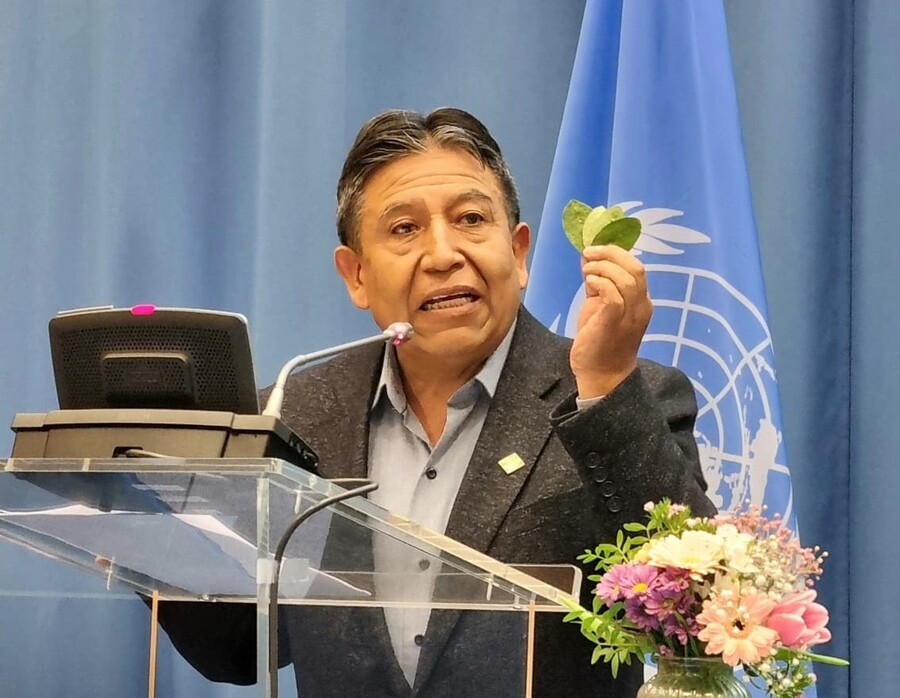 Bolivia defiende despenalización de la hoja de Coca en la Comisión de Estupefacientes de Naciones Unidas