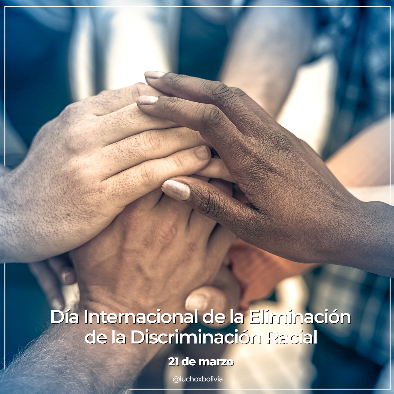 Arce reafirma la importancia de la unidad para consolidar un Estado Plurinacional libre de racismo y discriminación