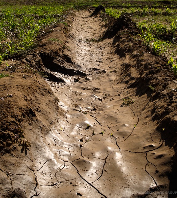 BM aprueba $us 150 millones de crédito para proyectos hídricos en beneficio de 30.000 familias bolivianas