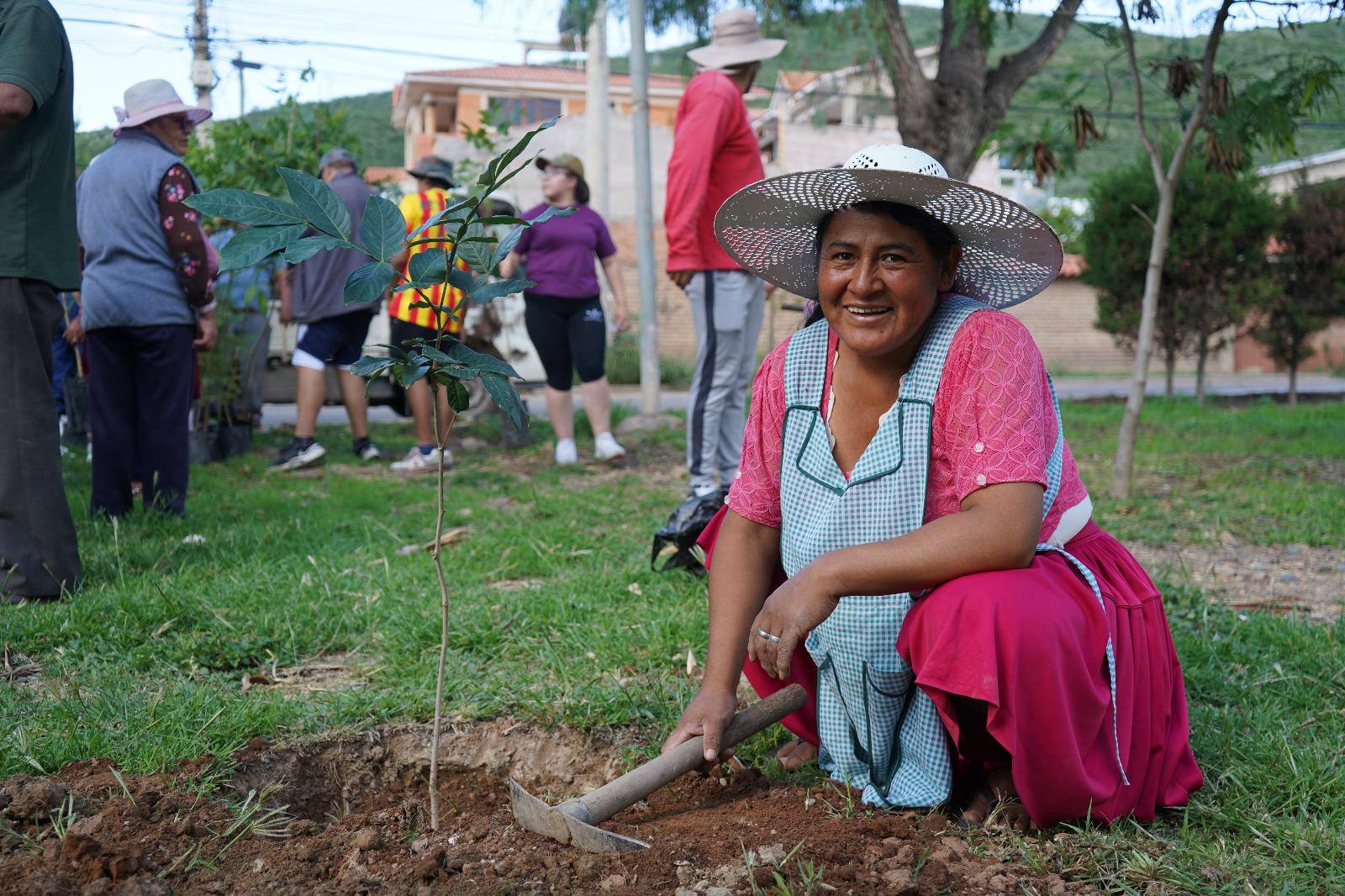 ENDE impulsa plantación de más de 300 árboles en la zona sur de Cochabamba 