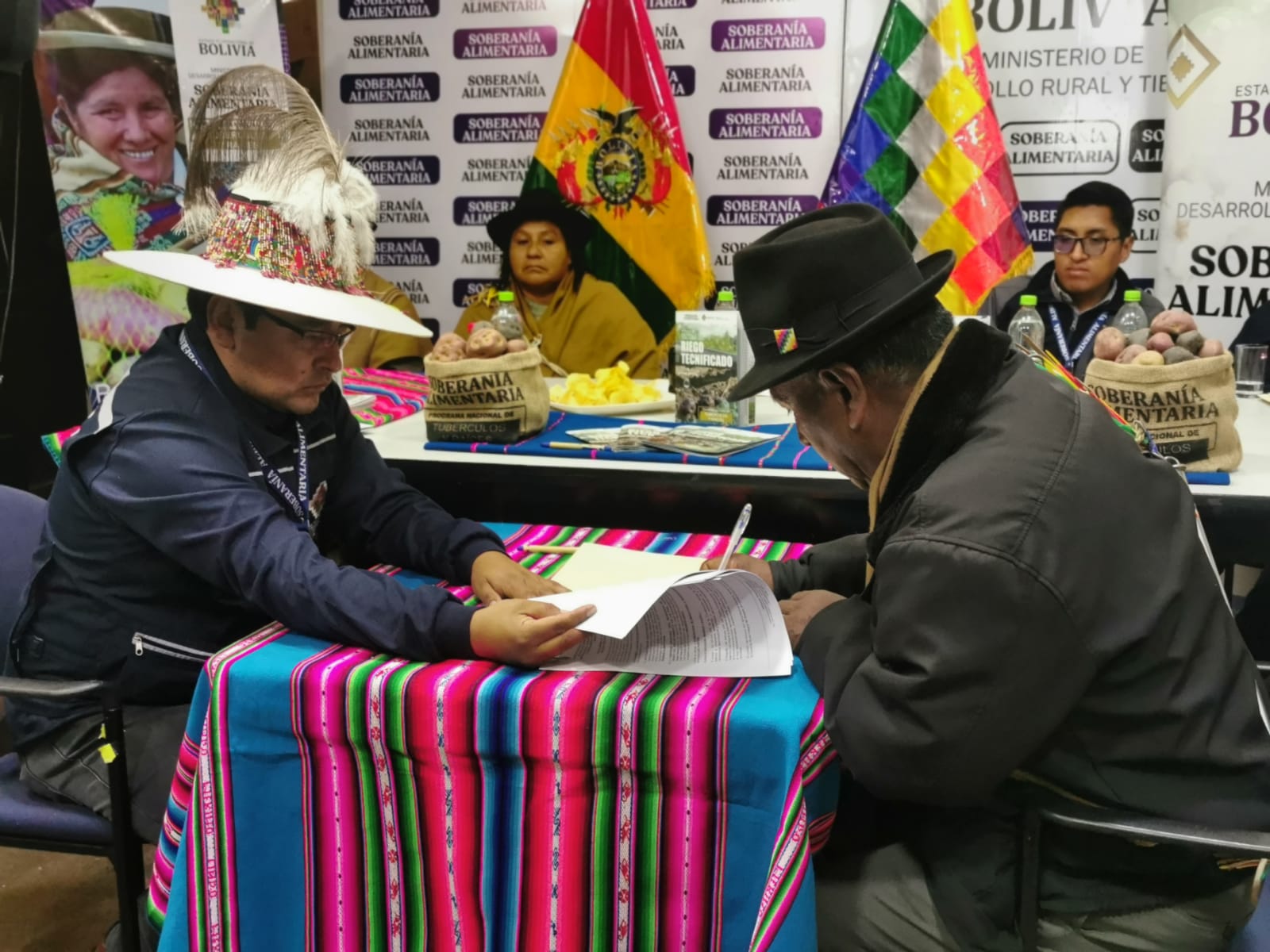 Destinan Bs 15,6 millones para fortalecer la producción de papa en La Paz, Cochabamba, Tarija y Chuquisaca