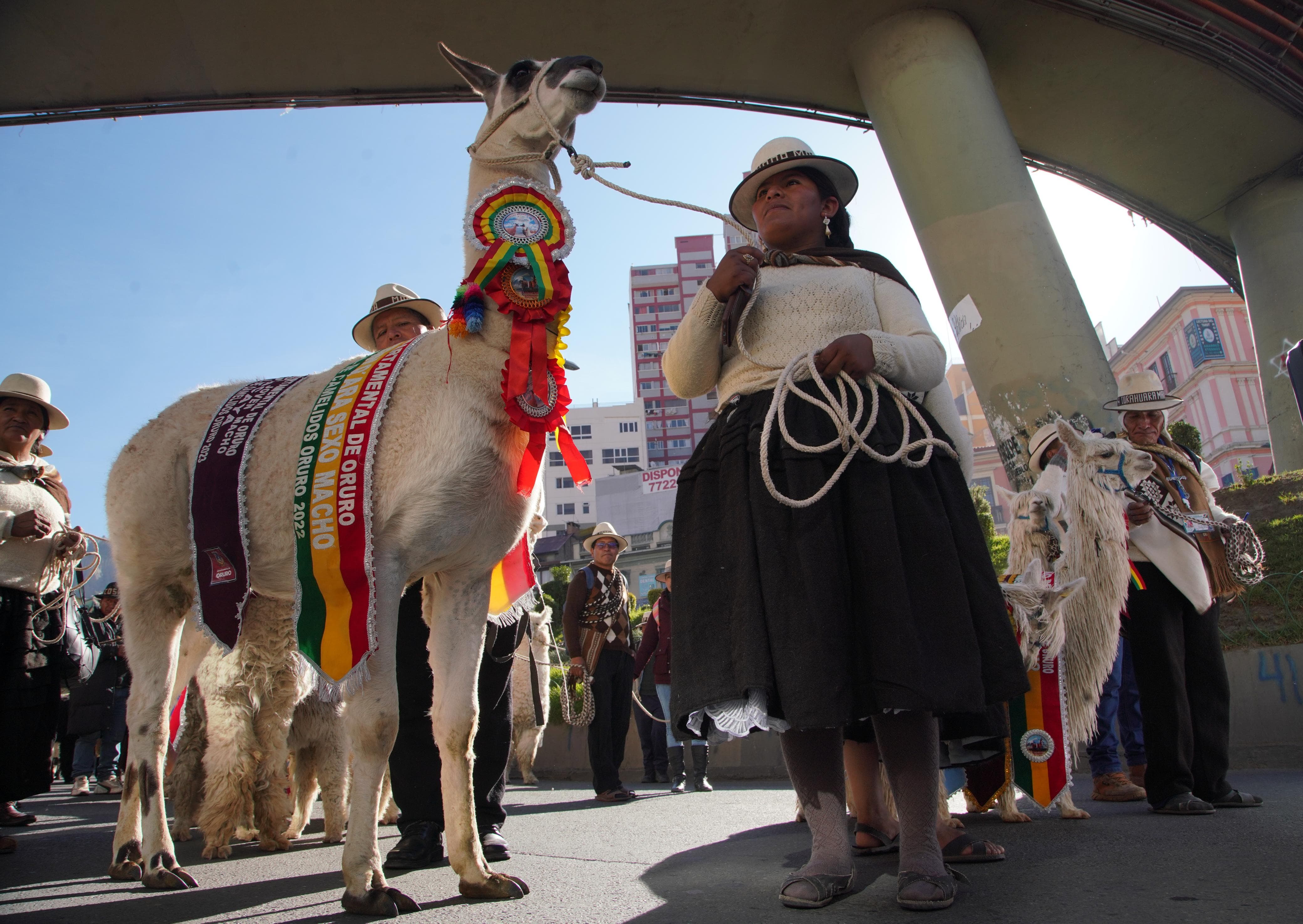 Canciller destaca el rol de las mujeres en la cadena productiva camélida