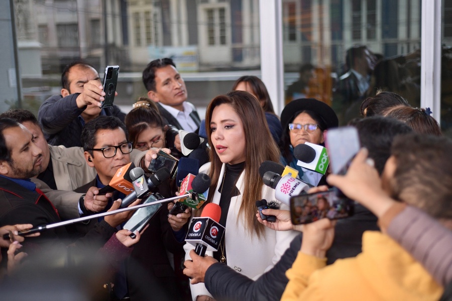 Viceministra Alcón insta a Evo a ser consecuente con la defensa del MAS y no poner en riesgo el instrumento político 