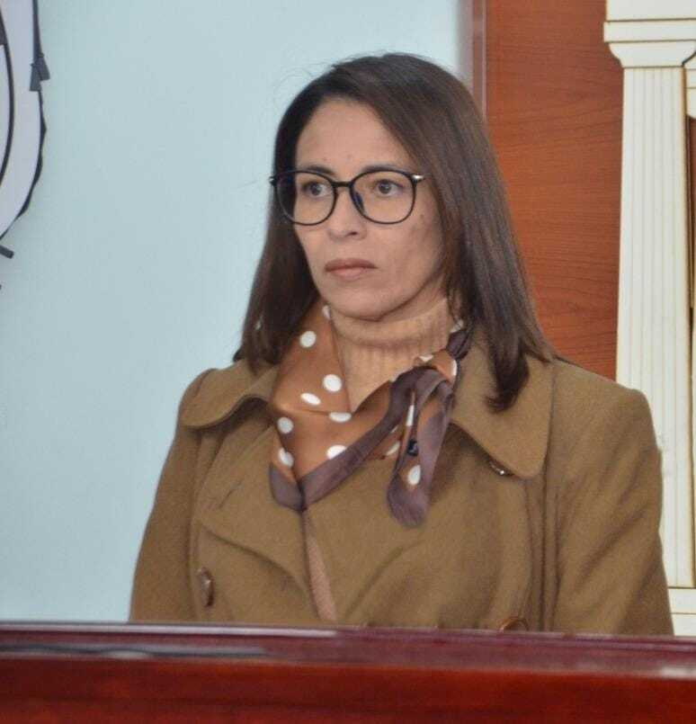 Viceministra reitera que el DS 5143 no afecta el derecho a la propiedad privada y busca “desbaratar mafias criminales”