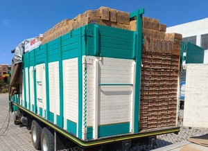 Incautan gran cargamento de huevo para el contrabando en la frontera con Perú