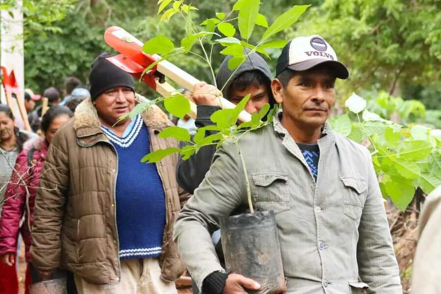 Villa Montes inicia reforestación con especies nativas para incrementar cobertura boscosa