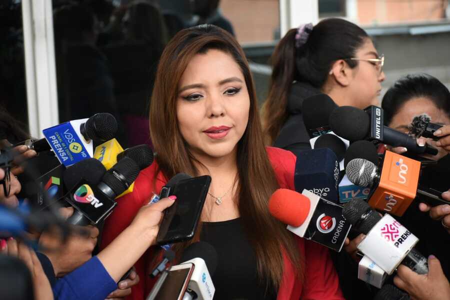 Viceministra Alcón califica de político a observación al DS 4732, pide no dejarse engañar 