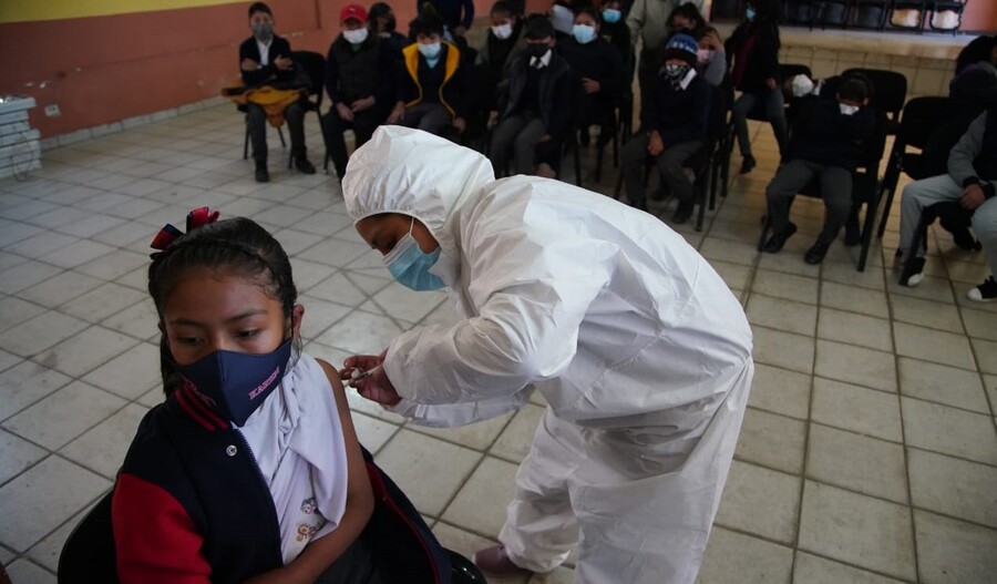 Campaña de vacunación contra la influenza se ampliará a niños de 2 a 12 años, se coordina con unidades educativas