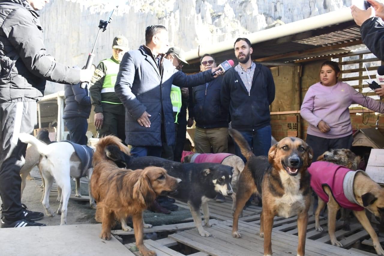 Ministro Del Castillo y funcionarios trabajan en la construcción y refacción del albergue de perros y gatos “Peluchín”