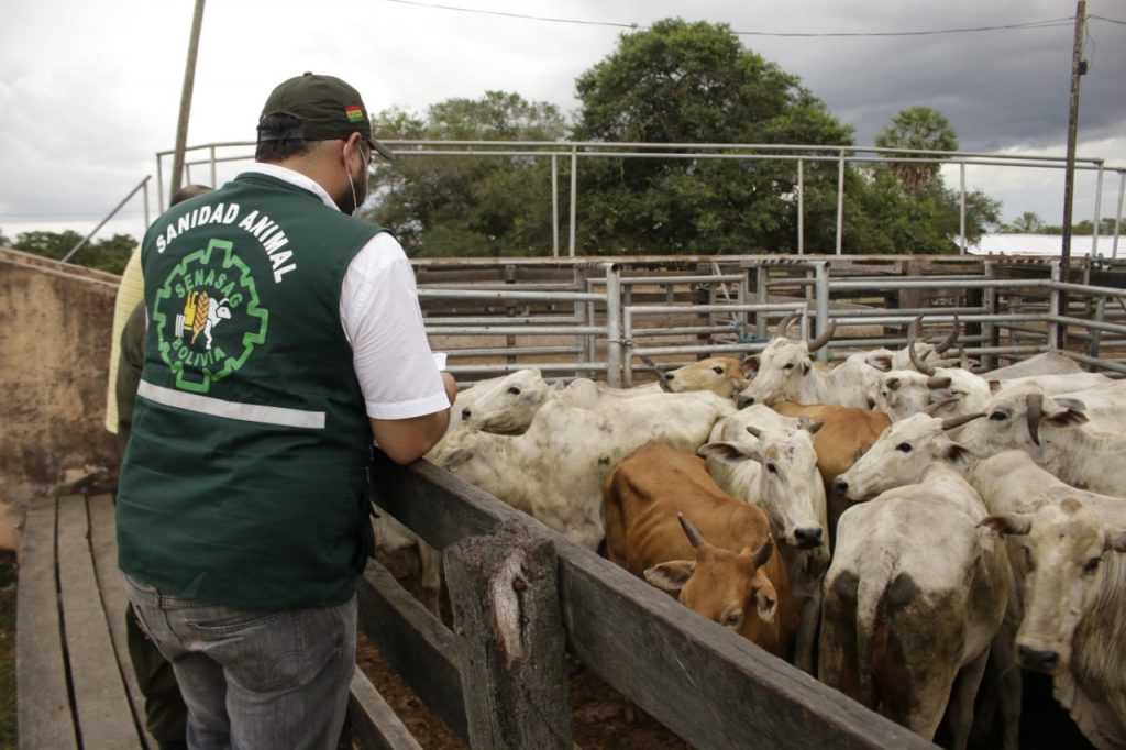 Bolivia es sede de la 51 reunión Cosalfa 2025 sobre la lucha contra la fiebre aftosa