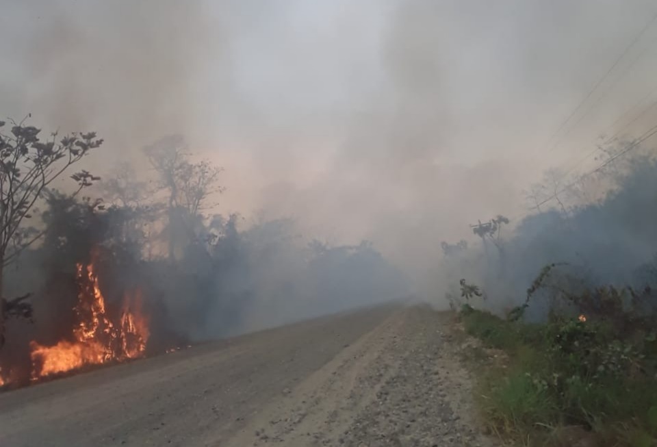 Denuncian chaqueo ilegal en Ixiamas y militares patrullarán la zona