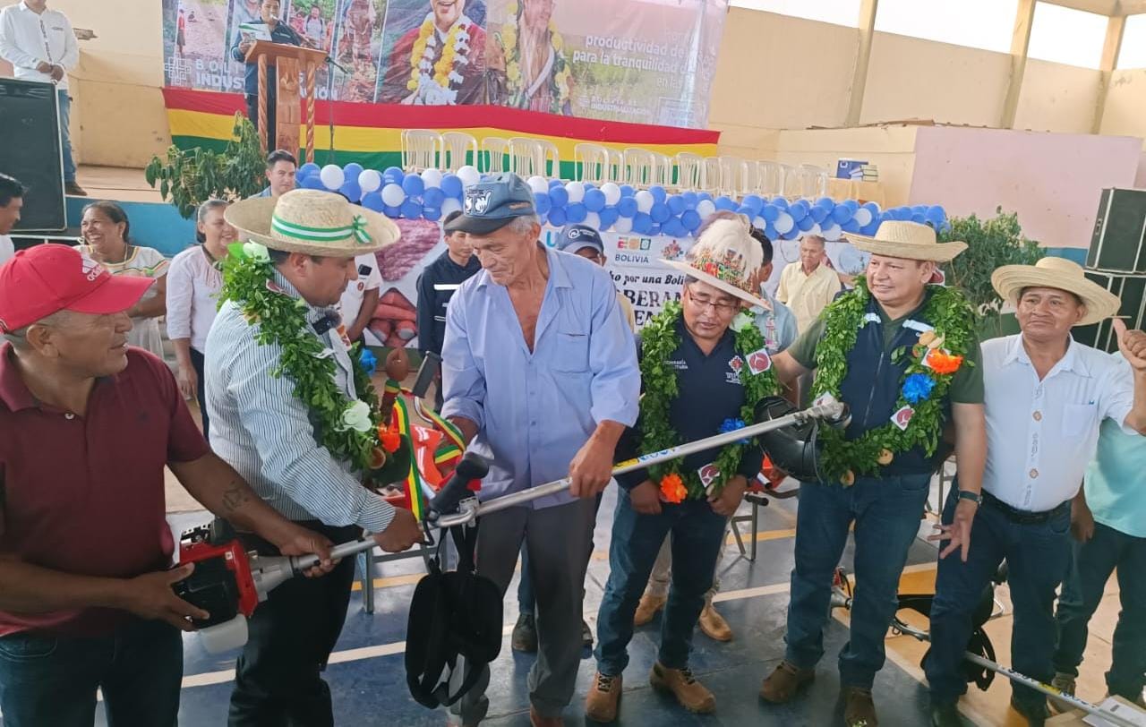 Inyectan Bs 1,5 millones para mejorar la producción de yuca en San Miguel de Velasco 