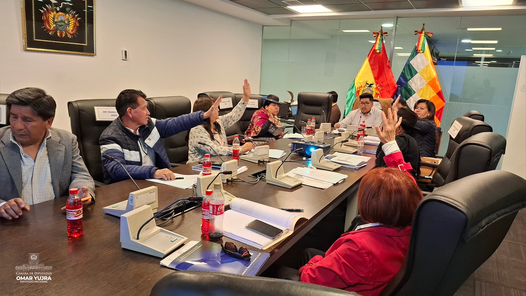 Comisión de Diputados aprueba crédito por $us 250 millones para sofocar incendios forestales