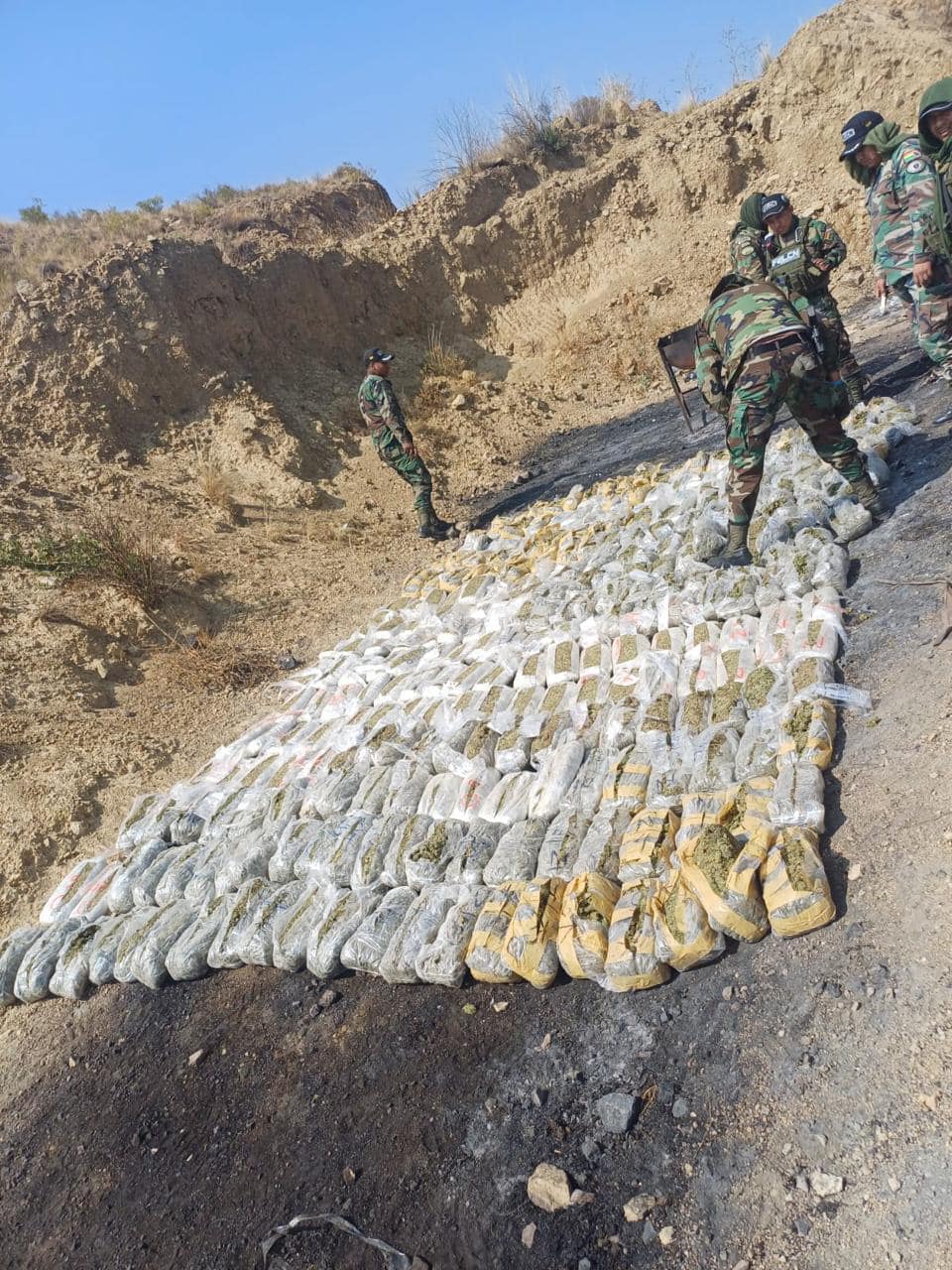 Destruyen más de 310 kilos de droga en Cochabamba