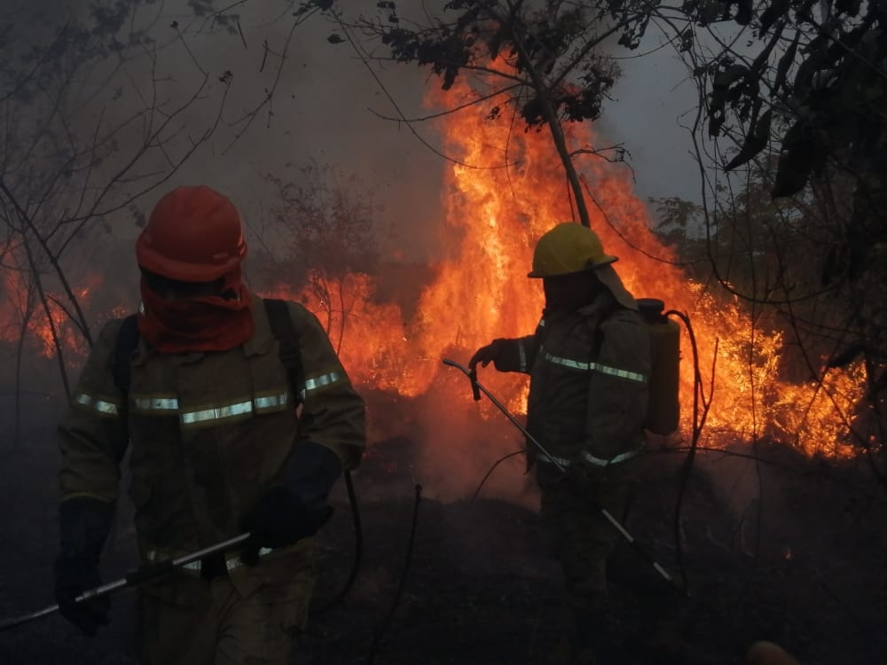 Expertos de España apuntan que los incendios en la Chiquitania fueron planificados
