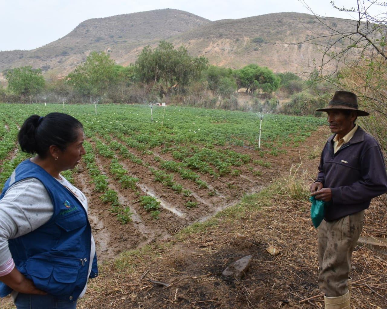 Proyecto estatal Alianzas Rurales III ejecutará el 50% del crédito de $us 300 millones en 2024