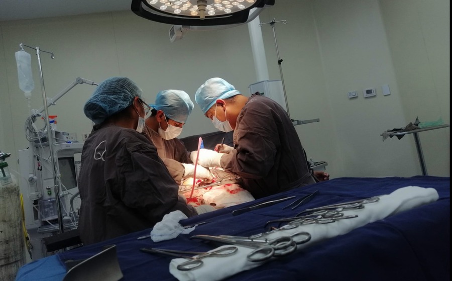 Crearán sistema informático de listas de espera para trasplante de órganos, tejidos y células