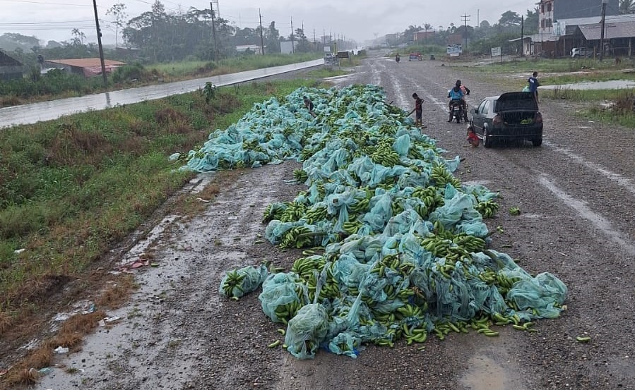 Bananeros tiran su producción en carretera como protesta ante bloqueo evista, lamentan pérdida de $us 5,5 millones 