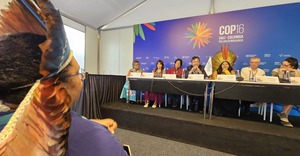 Choquehuanca llama a los líderes que confrontan a recapacitar y recuperar la cordura