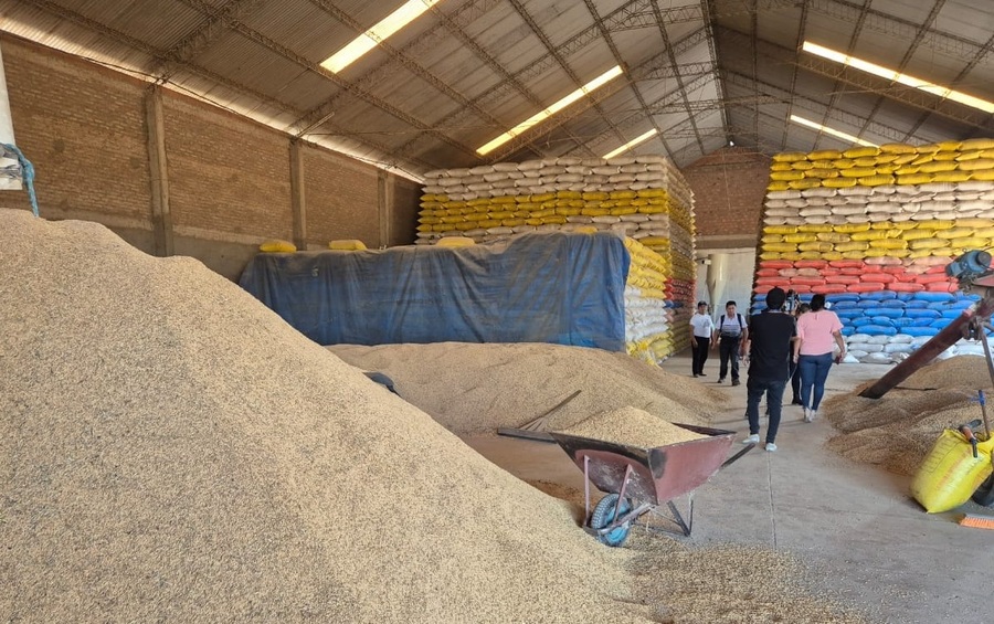 Intensifican controles y recogen información sobre producción y precios del arroz para enfrentar la especulación