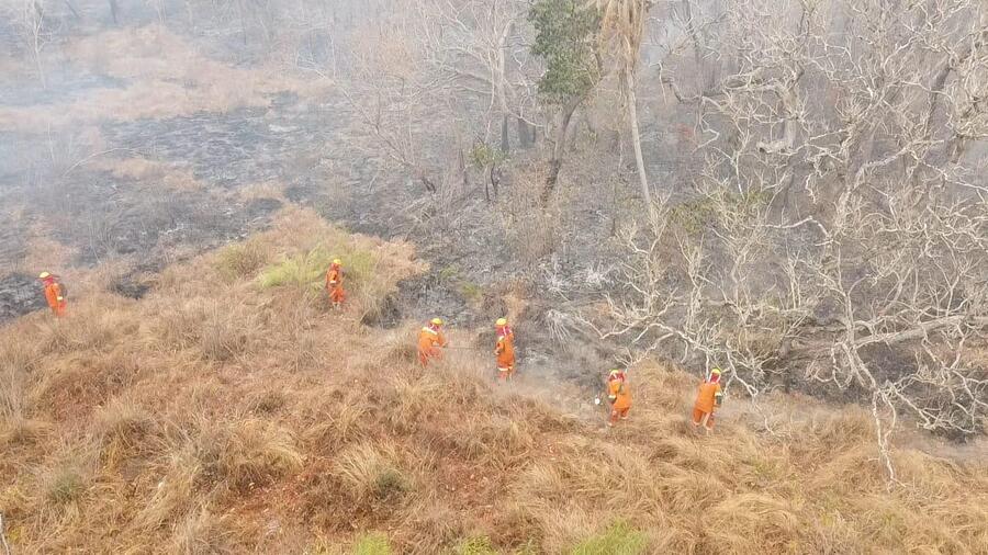 Controlan incendio forestal en la Reserva Nacional de Manuripi 